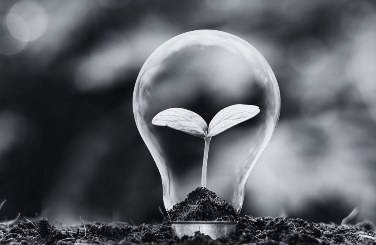 plant in lightbulb surrounded by earth